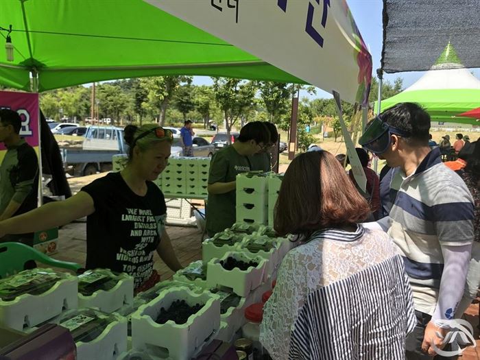 인근 마트에서“상주베리”를 맛보세요2.jpg