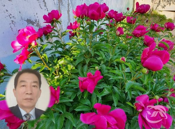 사진=전체사진(김상출 시인 제공), 좌측하단(김상출)